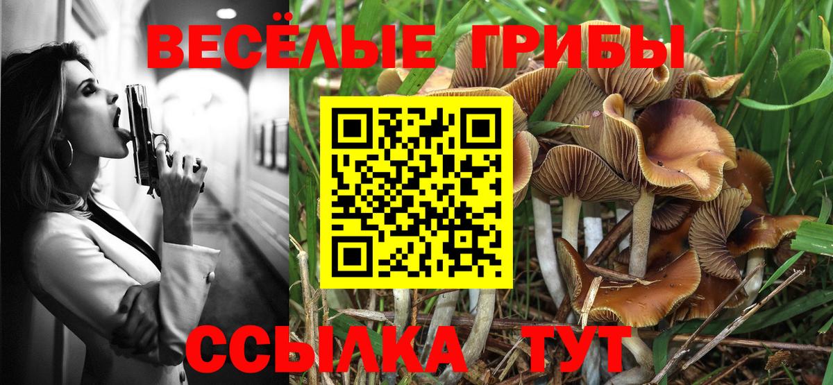 Псилоцибиновые грибы Magic Shrooms  Вход с VPN  Свободный  Псилоцибиновые грибы мицелий 